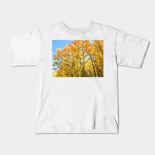Fall Colors and Aspen Trees in Colorado Kids T-Shirt